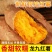 （软糯香甜）精品龙九，电商市场，超市，万亩基地大量有货