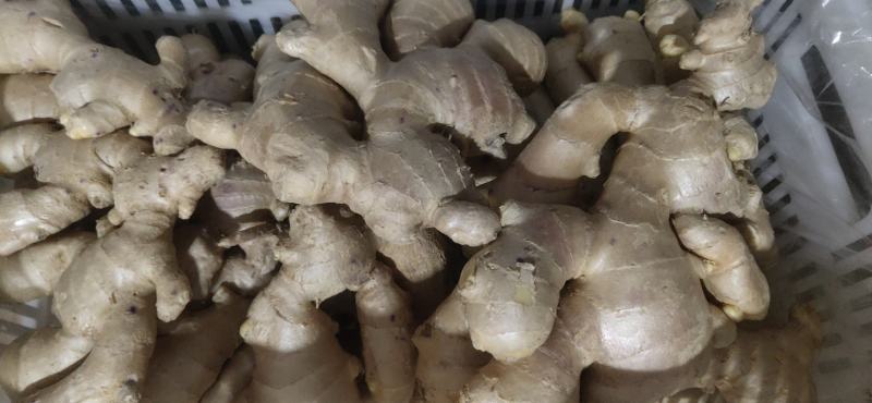 各种蔬菜，可做单品发车，可多品拼车，保值保量，价格美丽