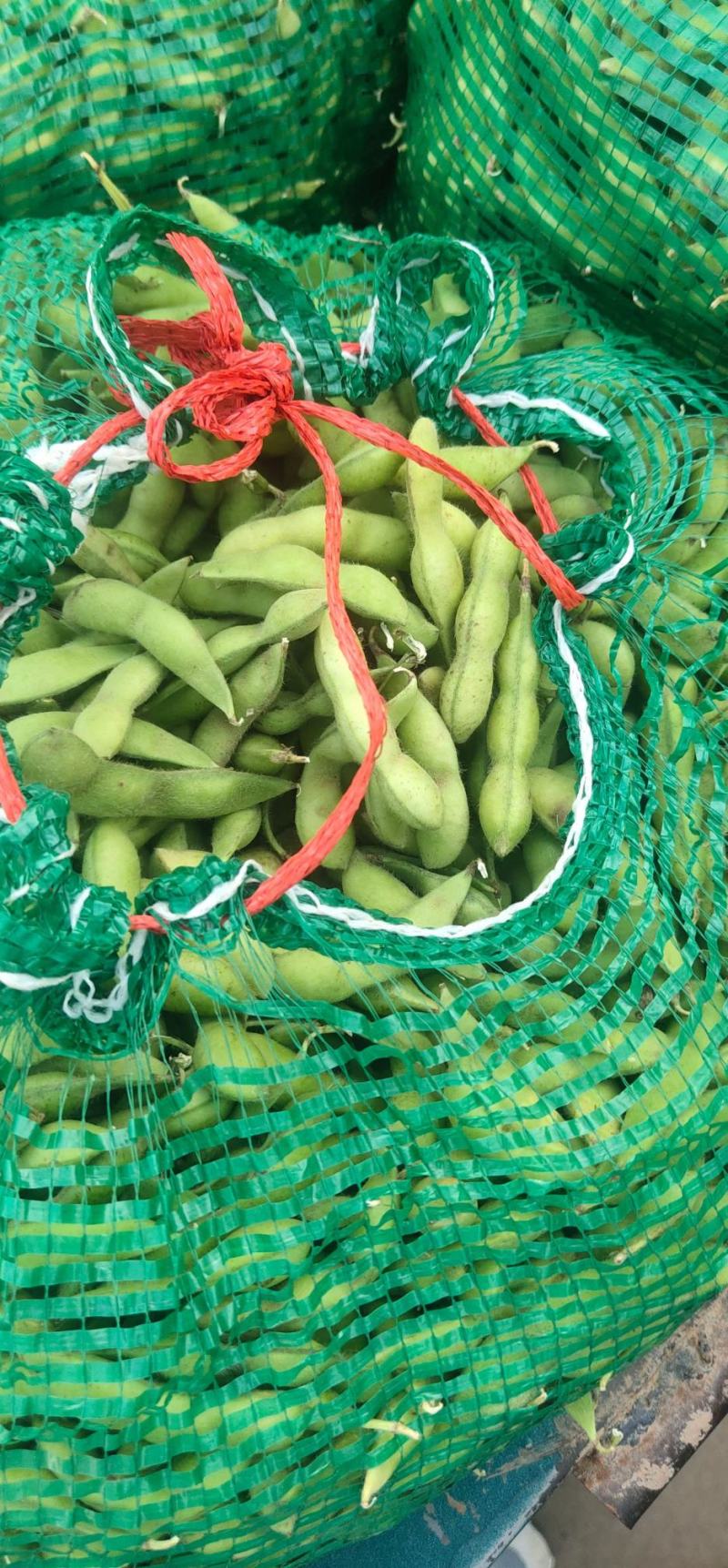 各种蔬菜，可做单品发车，可多品拼车，保值保量，价格美丽