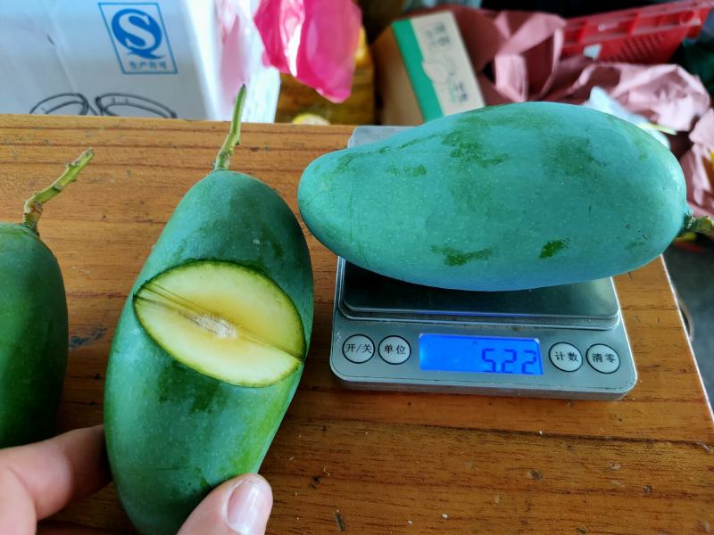 田东县桂七批量上市，香甜可口现货供应