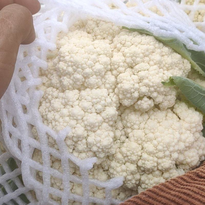 高原蔬菜。坝上蔬菜，