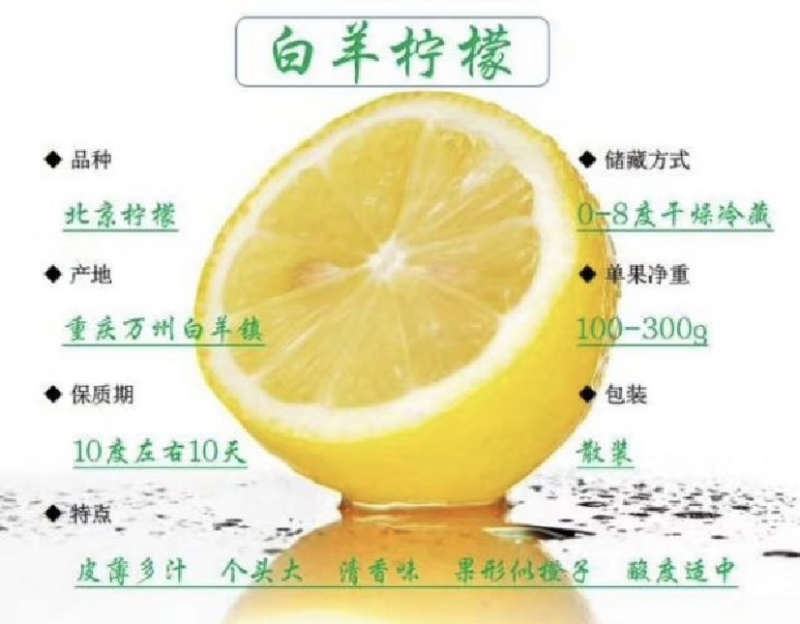 柠檬小镇
