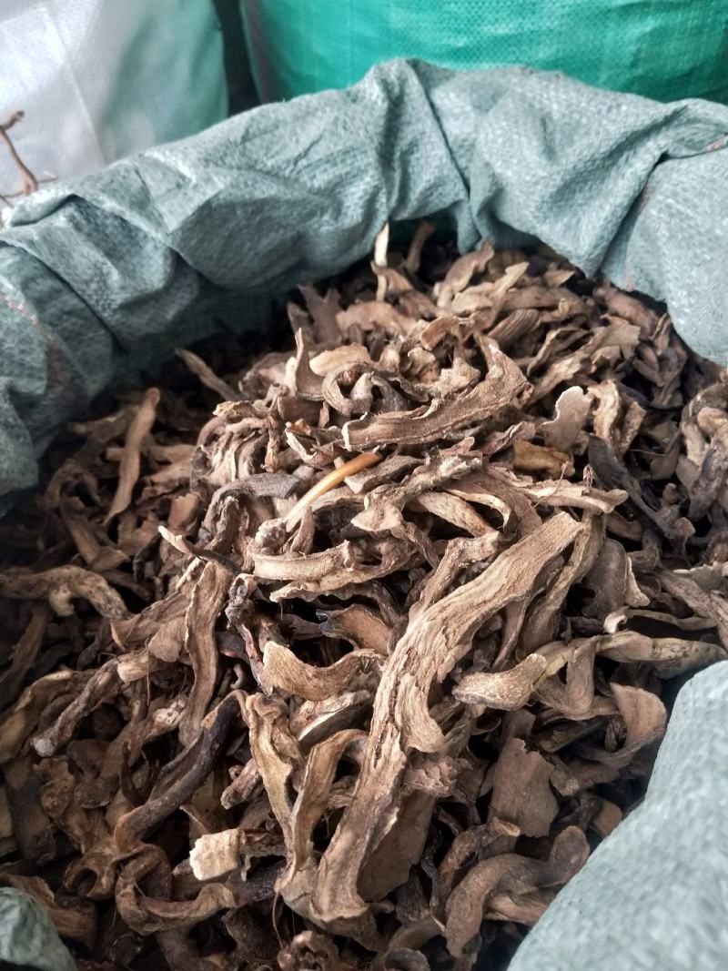 肉骨碎补