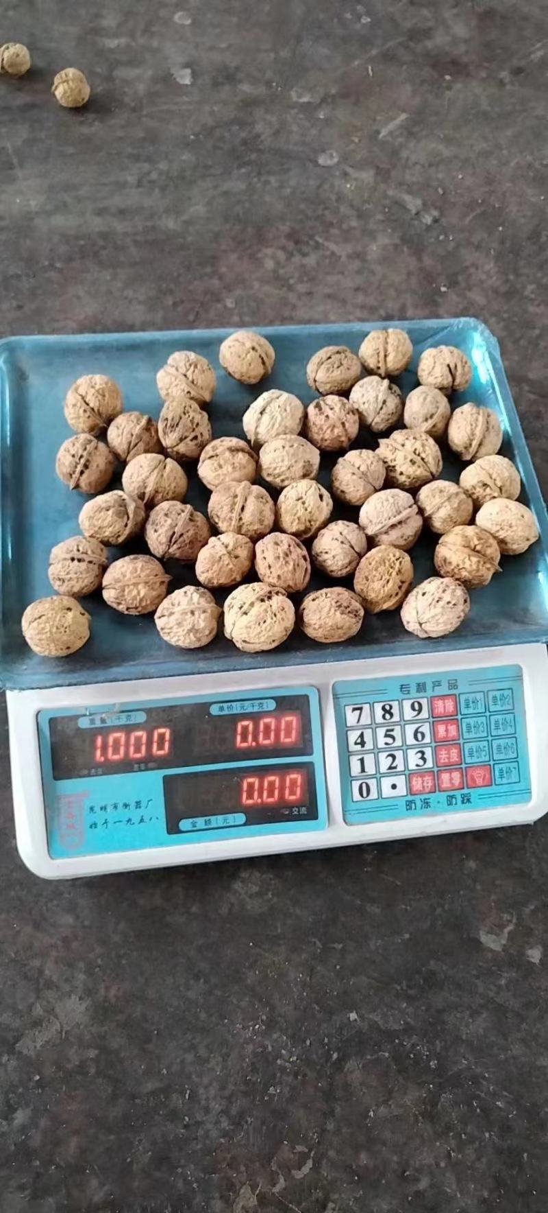 【可开】大理薄皮核桃不夹米可一件代发可预定22年新鲜核桃