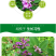护坡灌木种子美丽胡枝子二色胡枝子种子花卉林木种子牡荆种子
