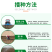 护坡灌木种子美丽胡枝子二色胡枝子种子花卉林木种子牡荆种子