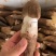 野生鸡枞也叫斗鸡公***食用菌营养价值高精品质量保证