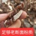 野生石菖蒲