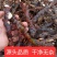 野生石菖蒲