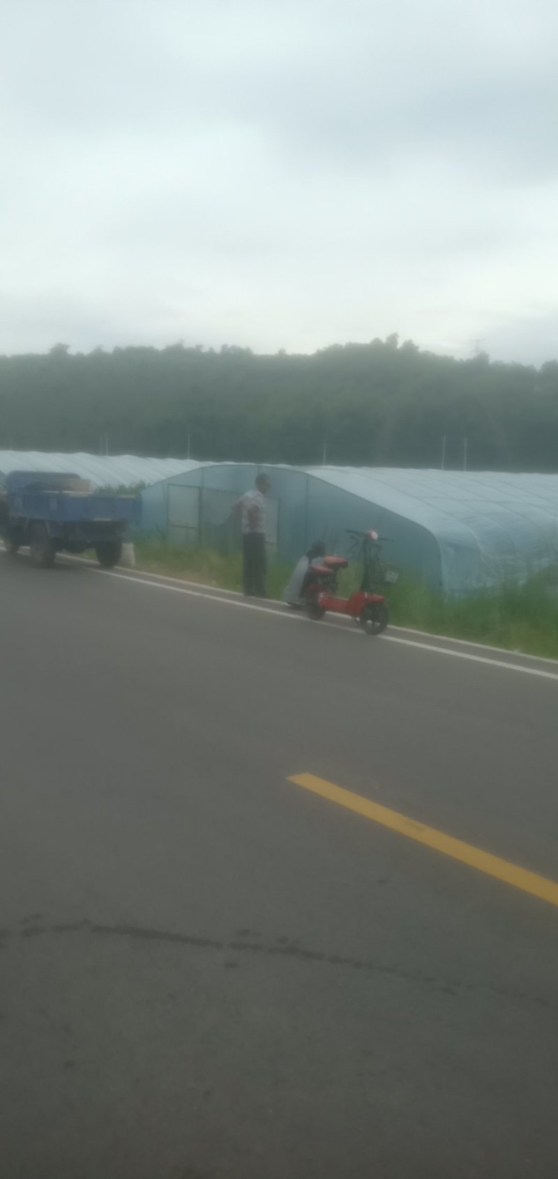 尖椒，太空椒，现已幵始上市，有需要的可以通过一亩田联系我