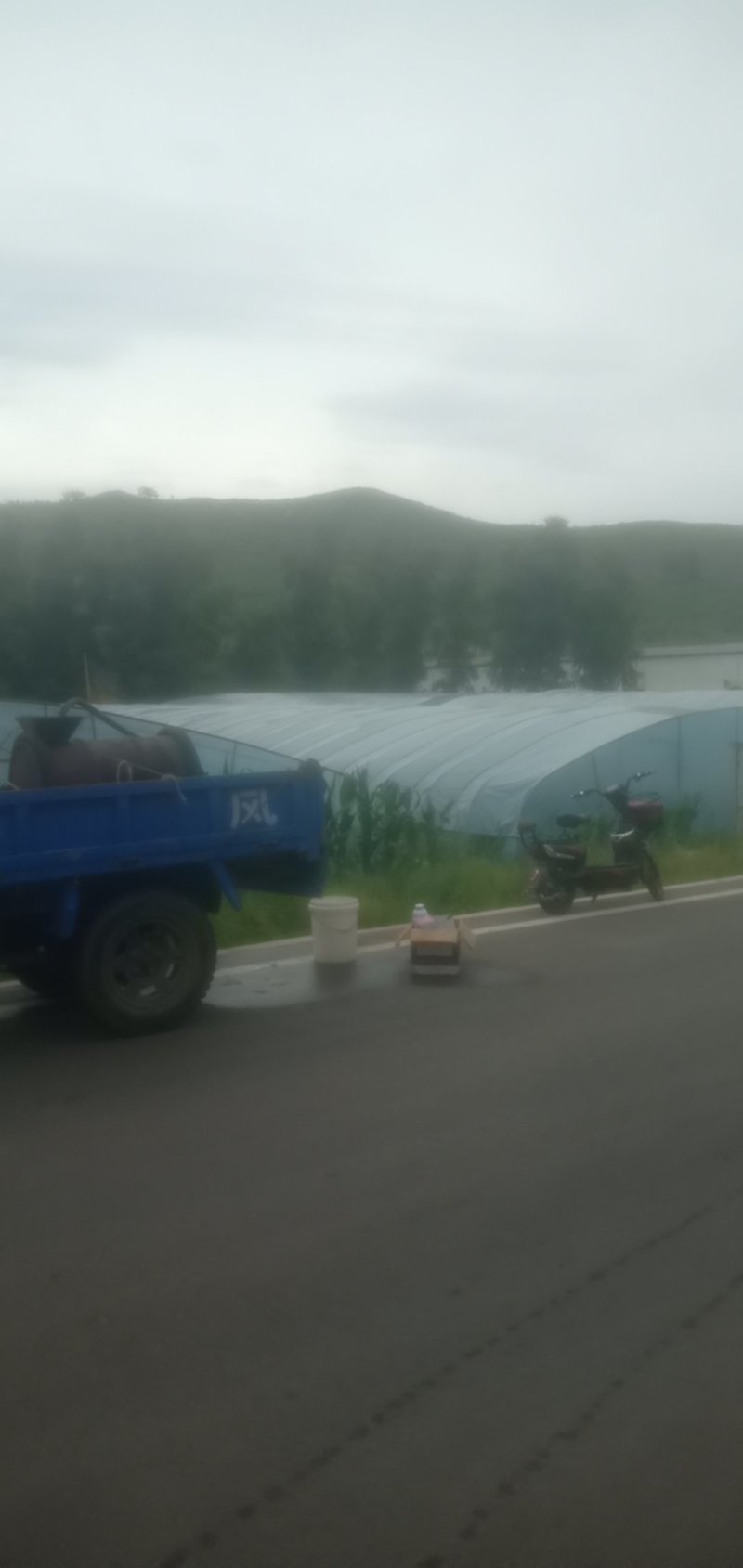 尖椒，太空椒，现已幵始上市，有需要的可以通过一亩田联系我