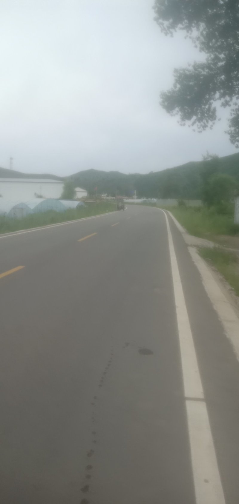 尖椒，太空椒，现已幵始上市，有需要的可以通过一亩田联系我