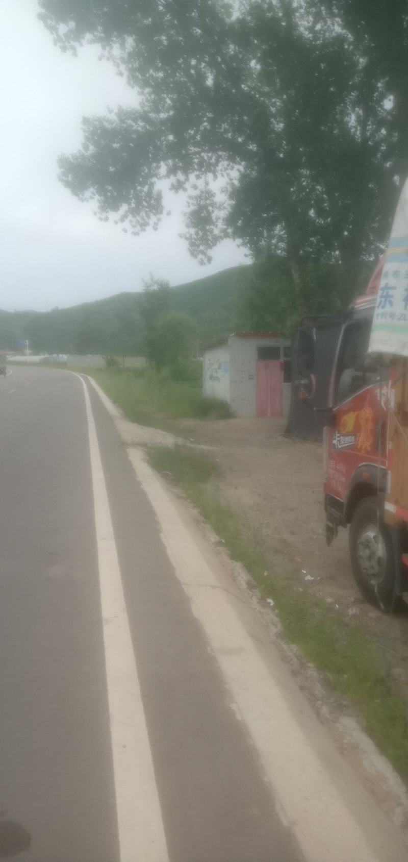 尖椒，太空椒，现已幵始上市，有需要的可以通过一亩田联系我