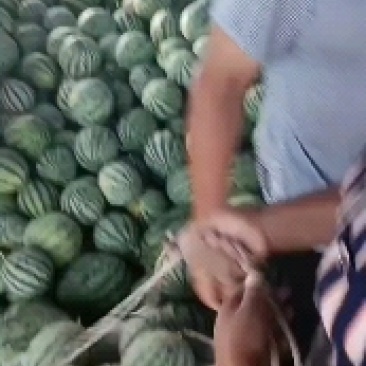 有子美都
