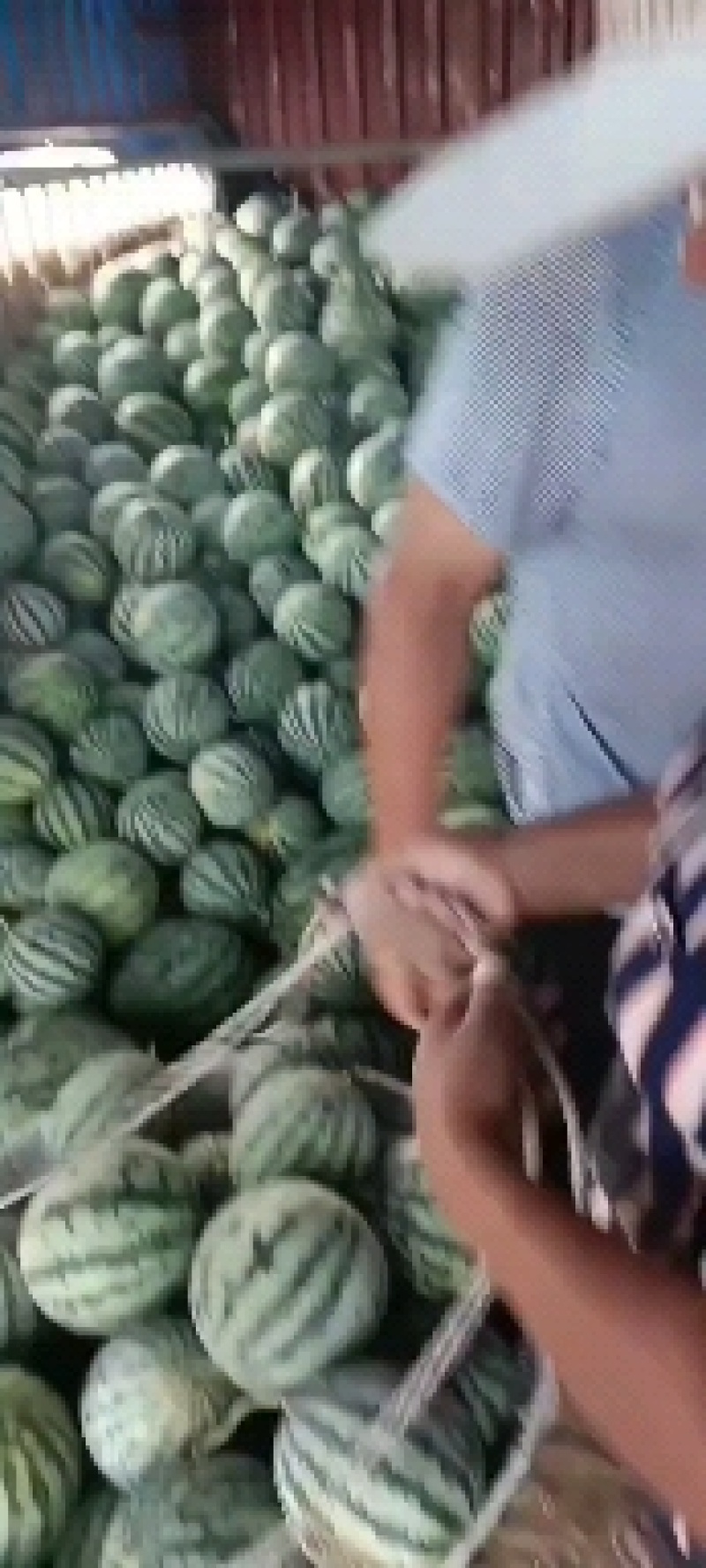 有子美都