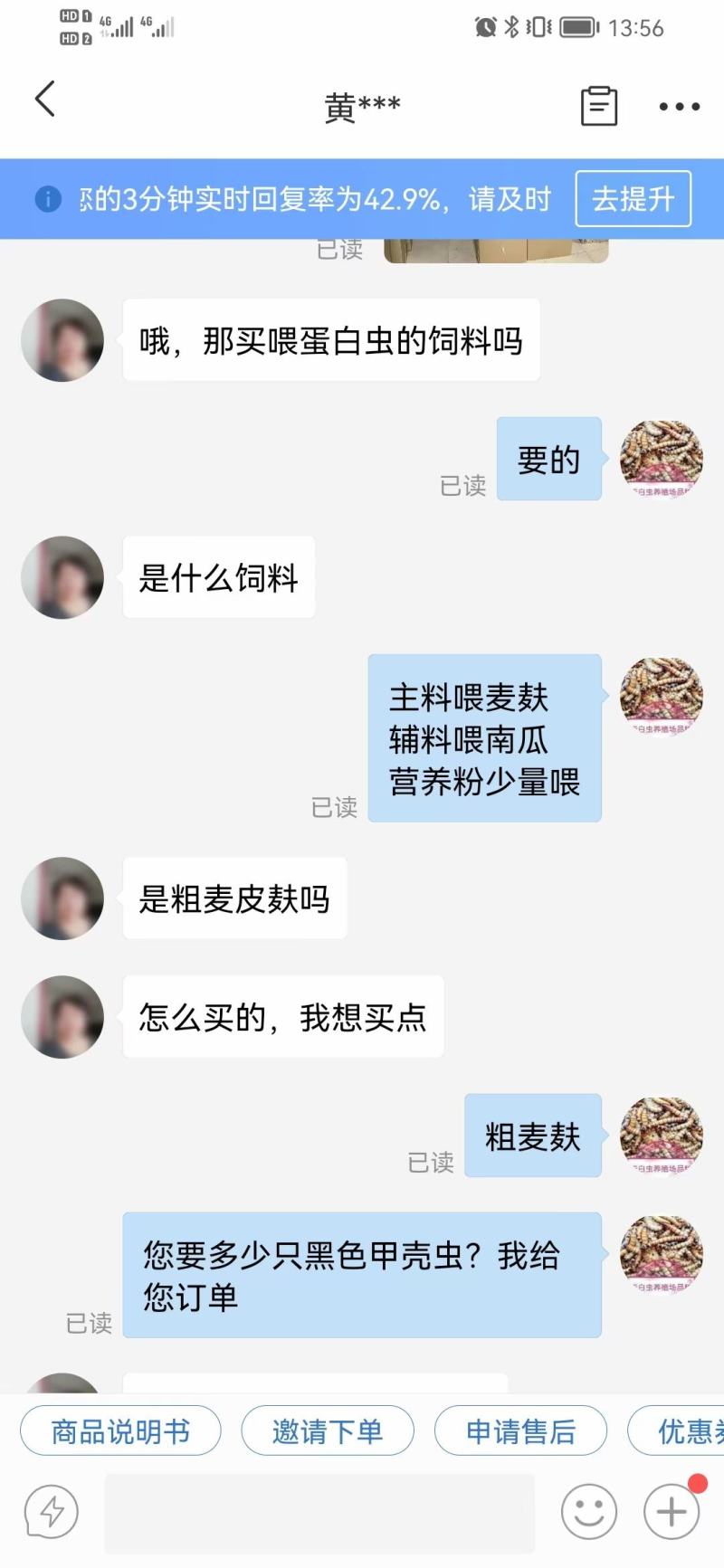 蛋白虫