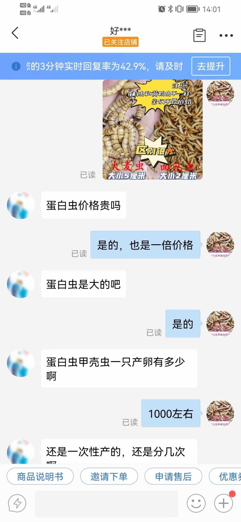 蛋白虫