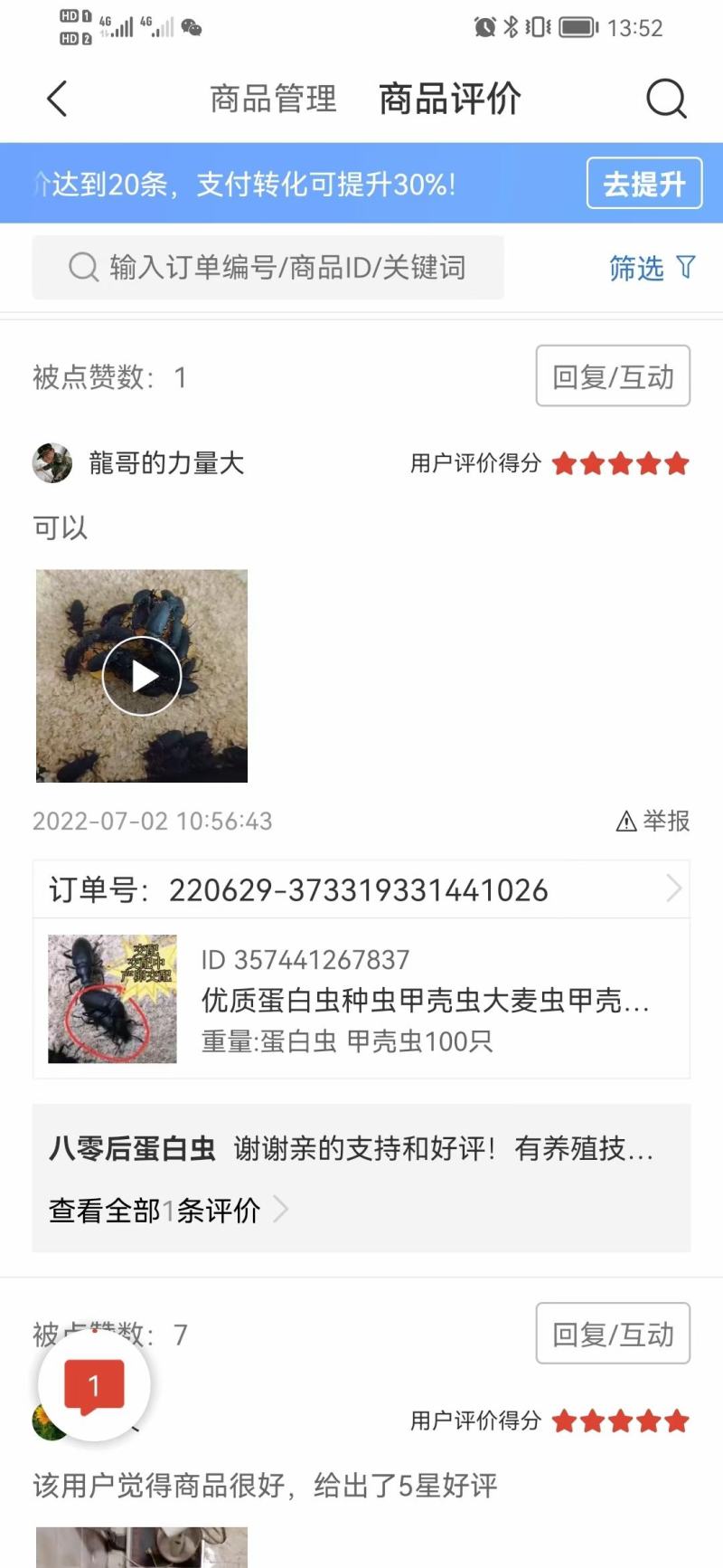 蛋白虫