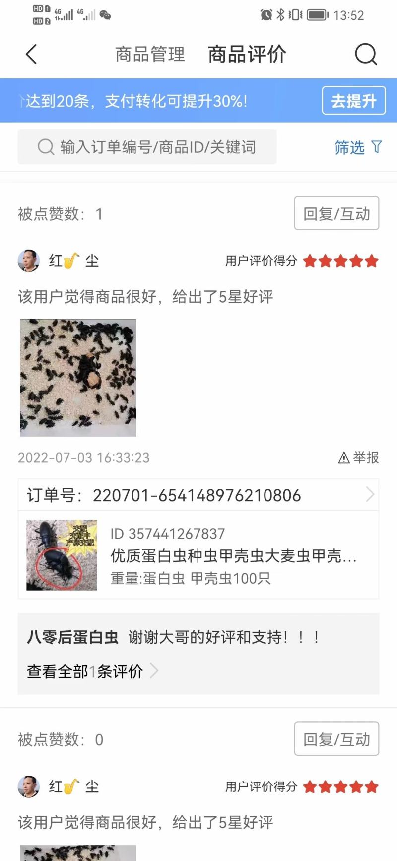 蛋白虫