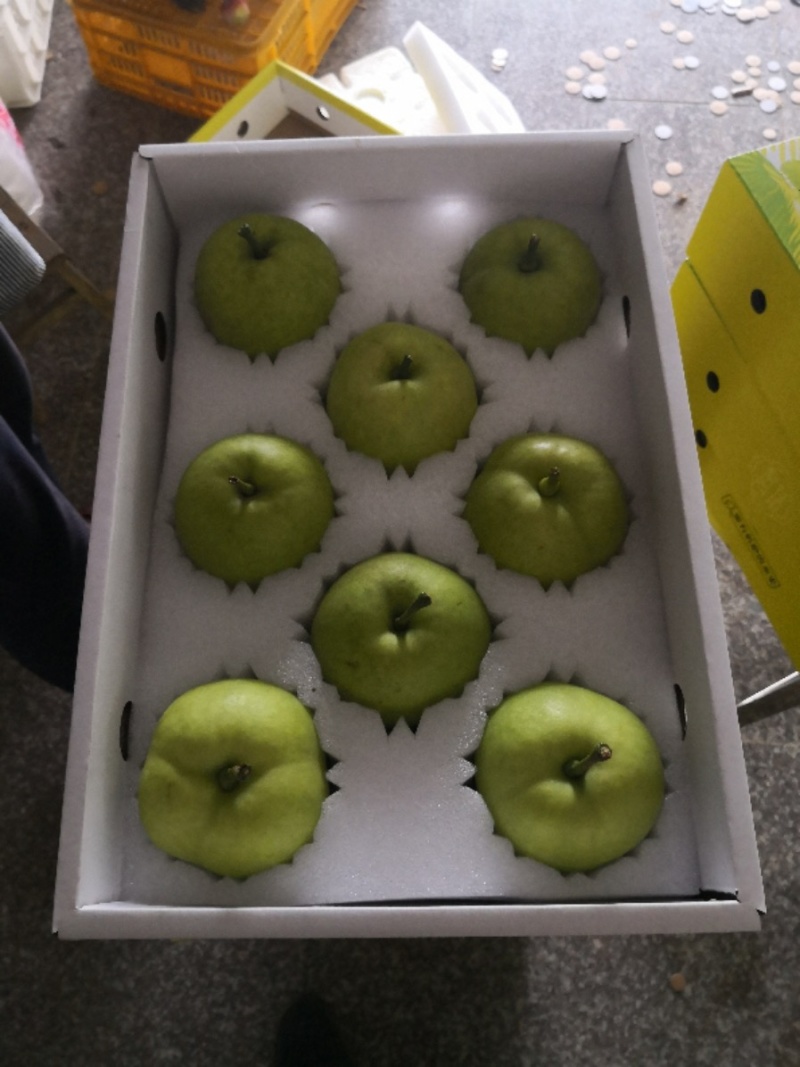 上海庄行镇特色蜜梨