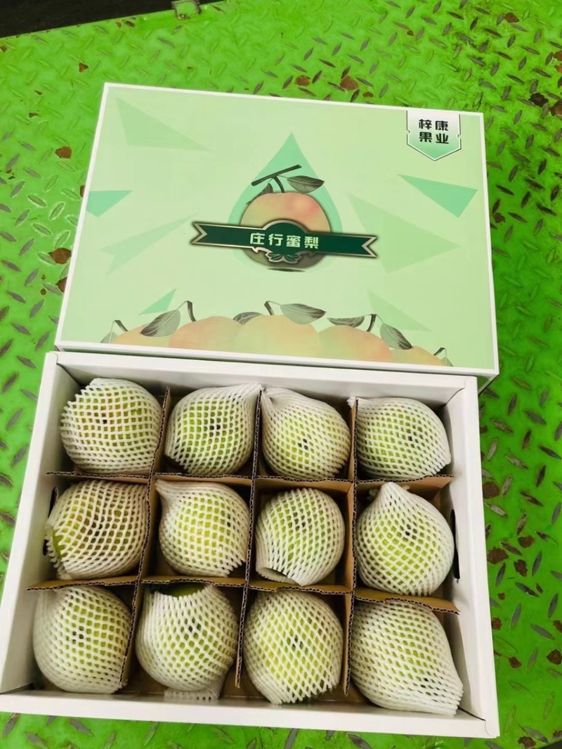 上海庄行镇特色蜜梨