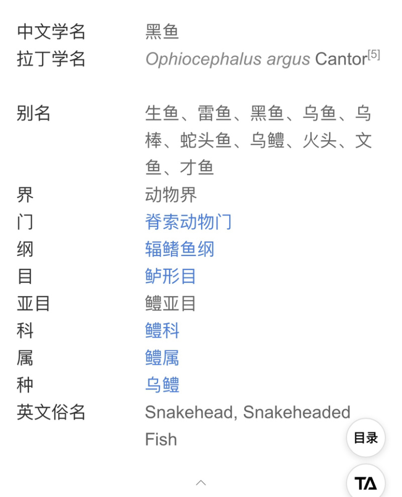 黑鱼苗生鱼苗乌头生鱼蛇鱼火头鱼苗