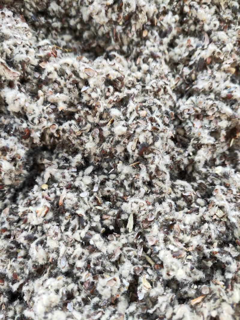 新疆棉籽壳中壳中绒菌类种植优质服务，厂家直发