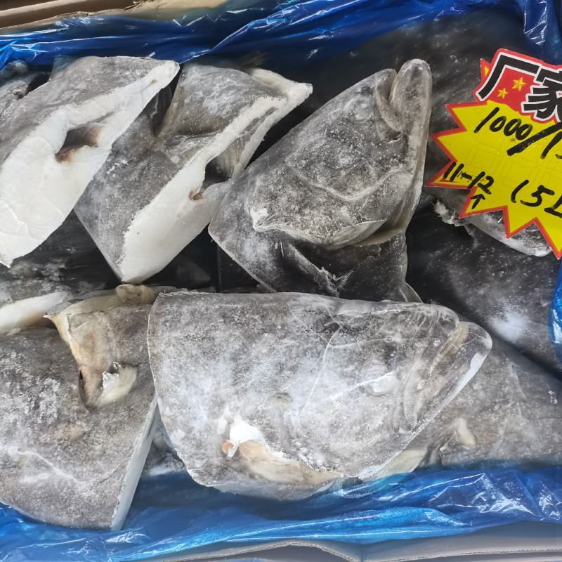 碟鱼头