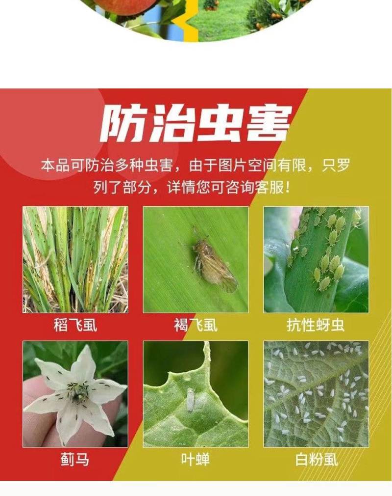 80%烯啶吡蚜酮烯啶虫胺吡蚜酮农药杀虫剂水稻稻飞虱