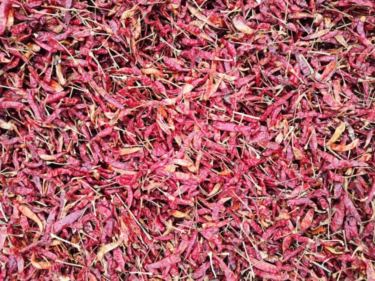 专业实验室检测干辣椒色素含量场景图