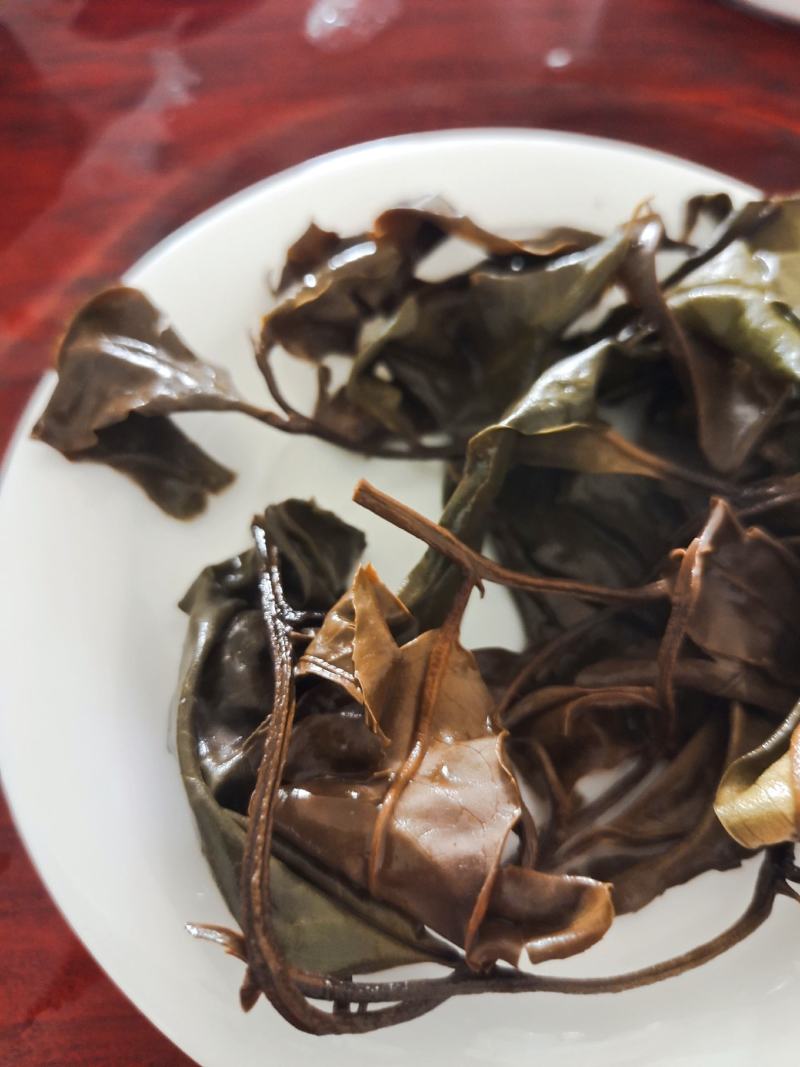 普洱景谷古树野生白茶，月光白，月光美人一手货原，量大从优