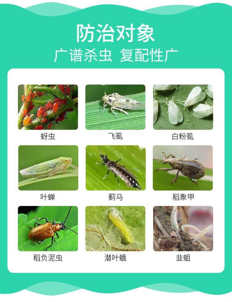 70%啶虫脒杀虫剂蚜虫蓟马果树蔬菜杀虫药农药农用啶虫脒