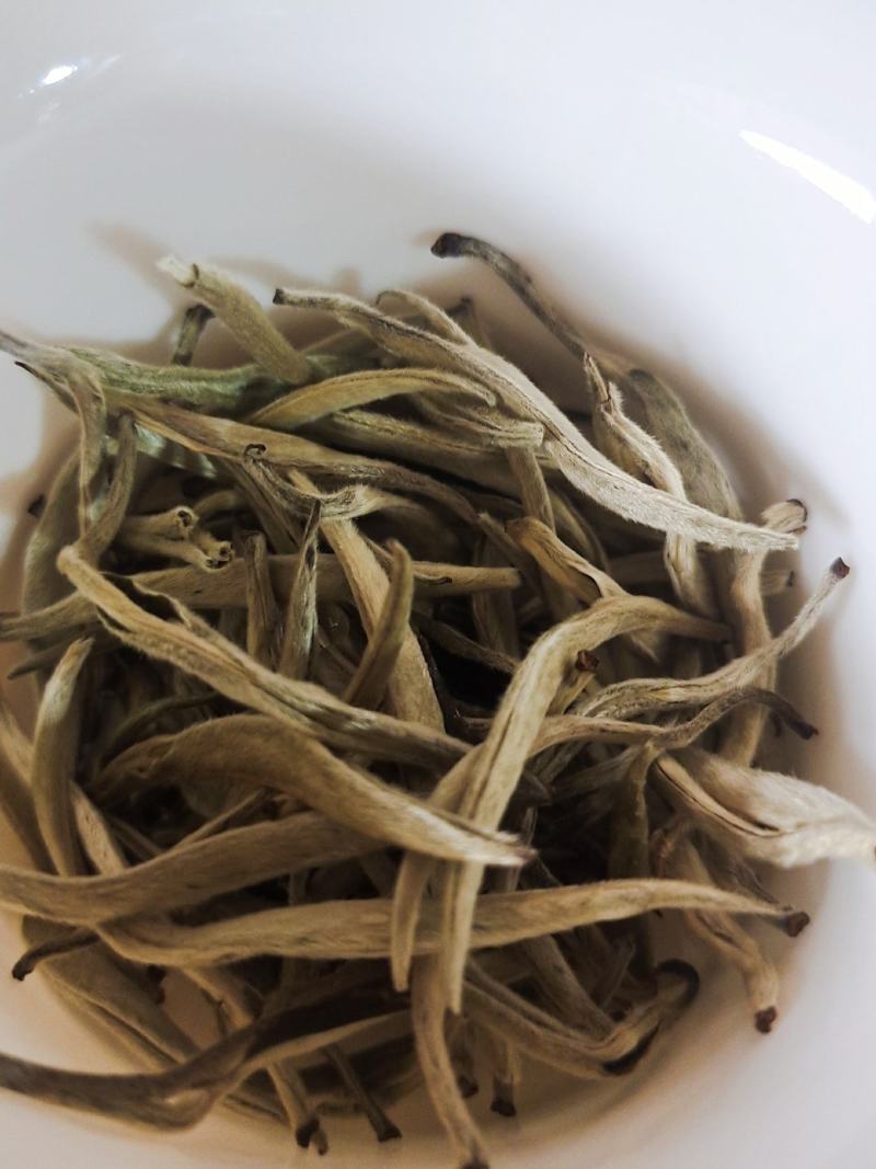 云南普洱景谷大白茶，月光白，白毫银针，一手货原，量大从优