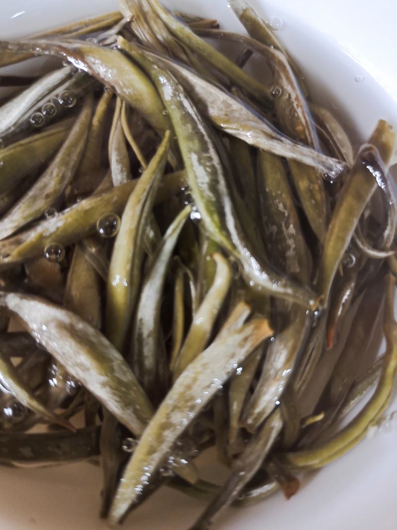 云南普洱景谷大白茶，月光白，白毫银针，一手货原，量大从优