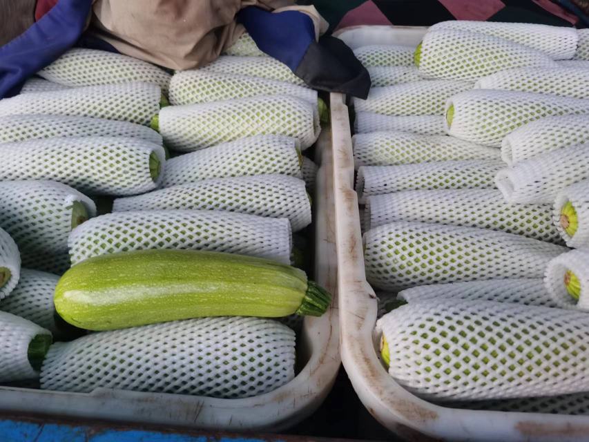 现代化蔬菜分拣中心内,工人正在对绿翡翠西葫芦进行自动化清洗、分级与包装,部分产品被装入带有品牌LOGO的透明塑料盒,另一些则用网袋组合成礼盒装,旁边设有冷链运输车准备装运,货架上贴有‘净菜配送’‘超市专供’等标签 绿翡翠西葫芦市场流通与包装场景