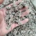 密蒙花统批发可代发批发零售品种齐全一件代发