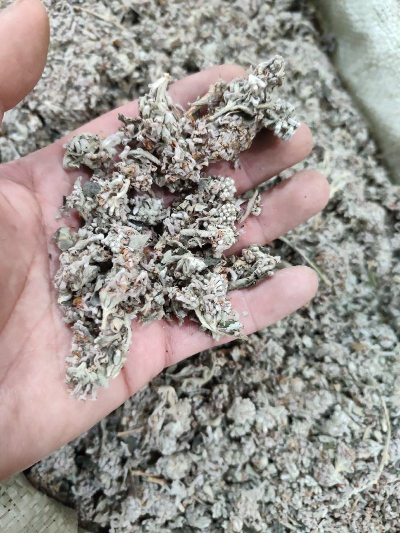 密蒙花统批发可代发批发零售品种齐全一件代发