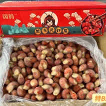 特级龙虾尾包冰龙虾尾因时龙虾尾原料虾尾包冰定制