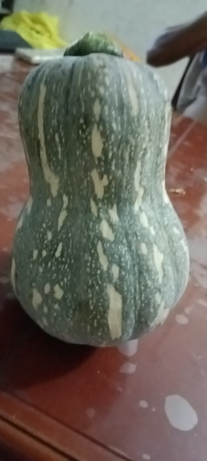 金香南瓜