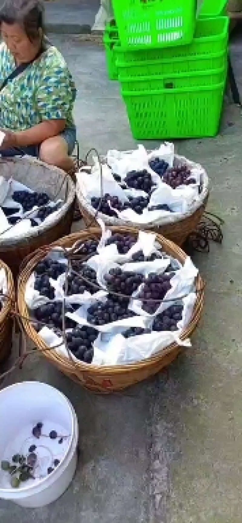 巨峰葡萄口感甜