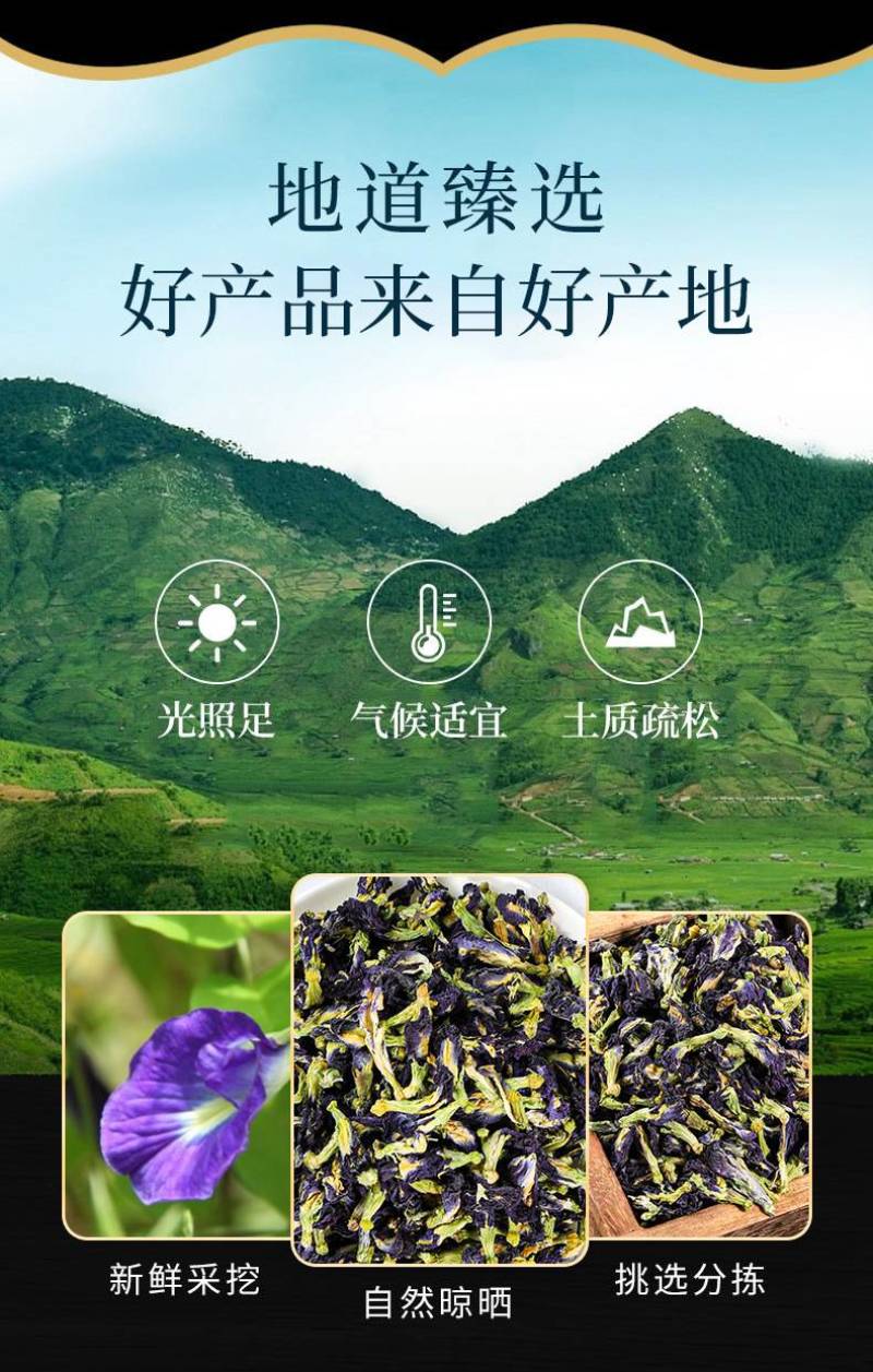 大货蓝蝴蝶花蓝蝴蝶蝶豆花花干花茶大货批发新货上市