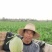 民勤沙漠蜜瓜金红宝糖度高口感高头茬瓜走货快