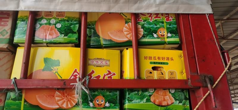 民勤沙漠蜜瓜金红宝糖度高口感高头茬瓜走货快