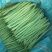 小金豆一年四季都有