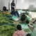 小金豆一年四季都有