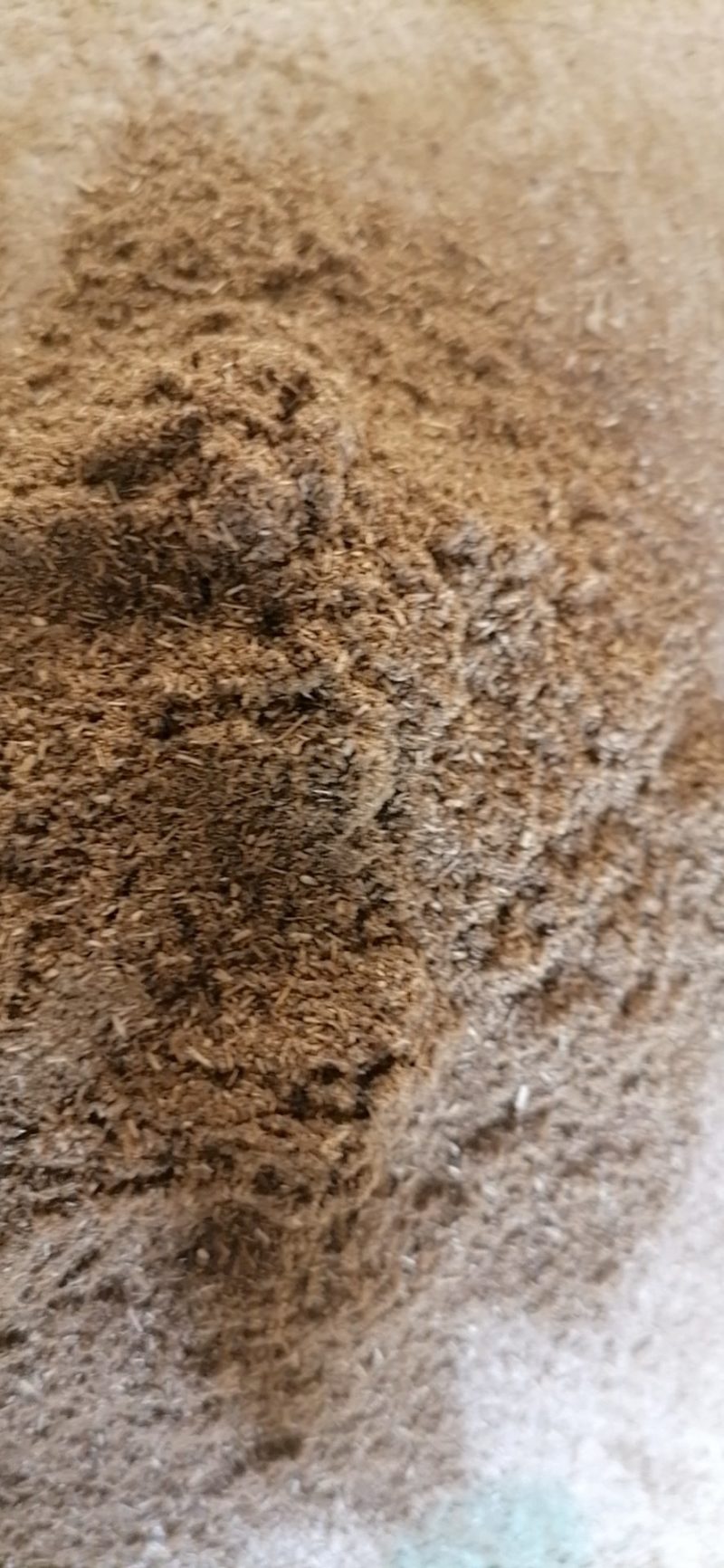 艾粉艾草艾叶粉艾粉艾灸猪鸡饲料添加泡脚泡澡艾粉家直销