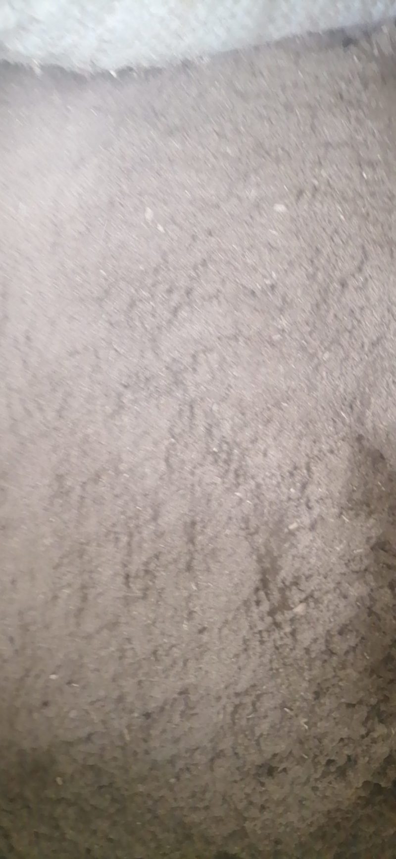 艾粉艾草艾叶粉艾粉艾灸猪鸡饲料添加泡脚泡澡艾粉家直销