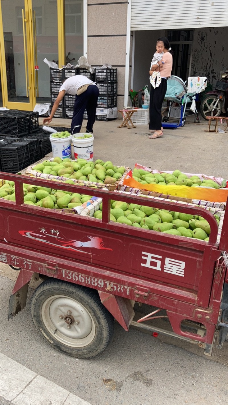 梨