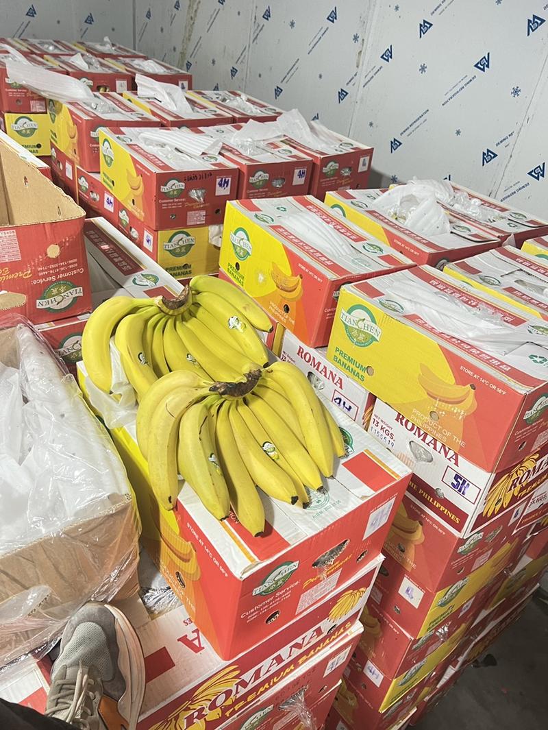 特价香蕉水果威廉斯香蕉价格实惠证件齐全可发全国