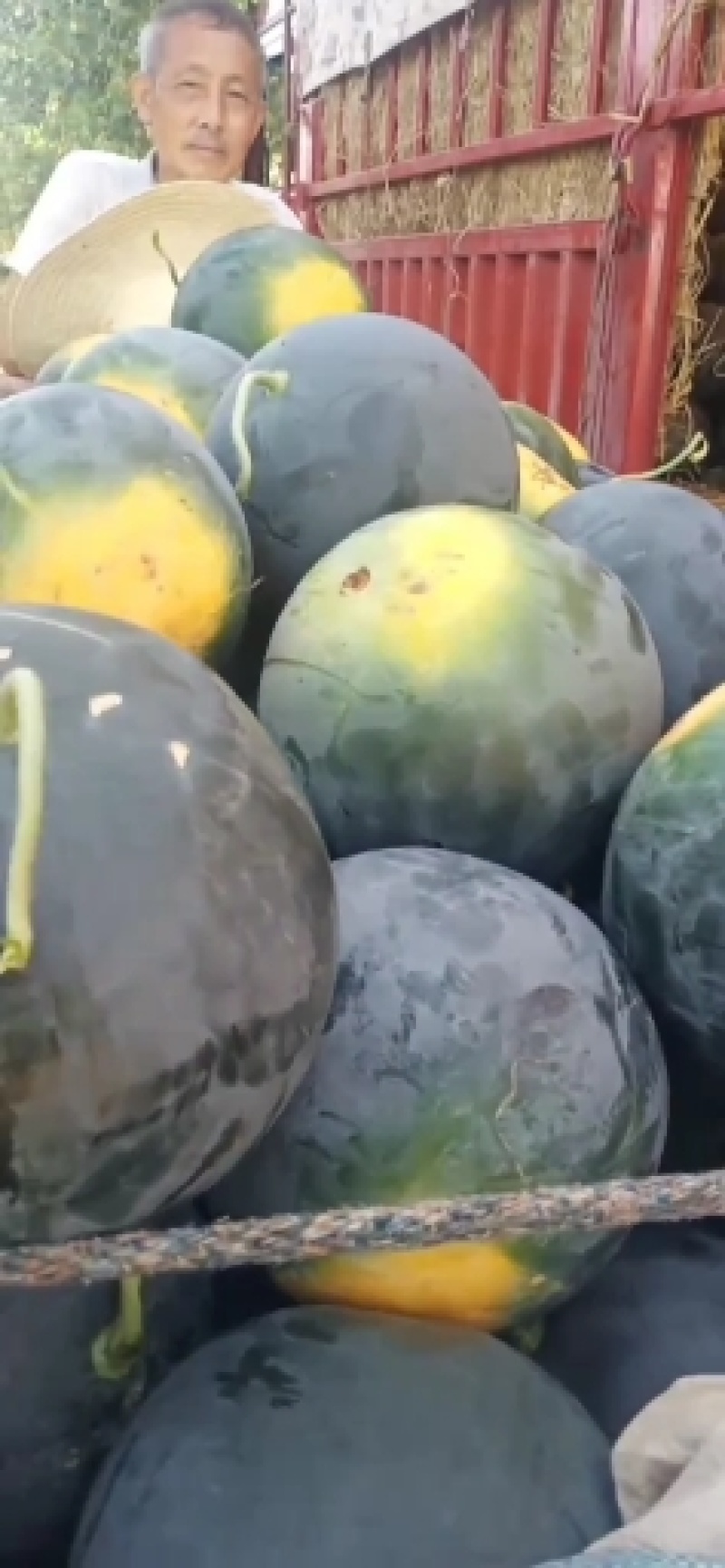 【诚信第一】精品西瓜，基地直发，一条龙服务包上车